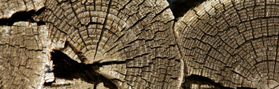 La madera natural perdurara